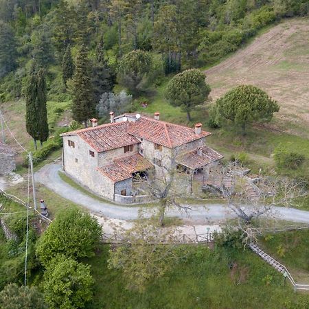 Fattoria Di Cintoia Villa Понтасиеве Екстериор снимка