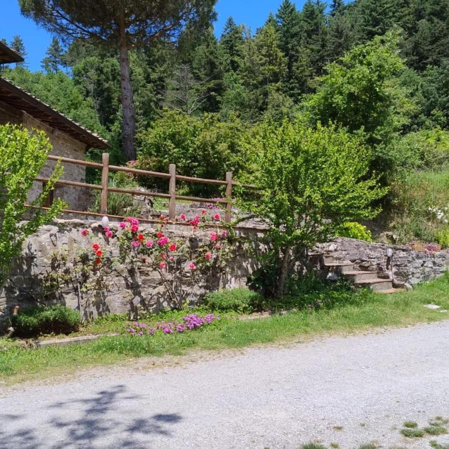 Fattoria Di Cintoia Villa Понтасиеве Екстериор снимка