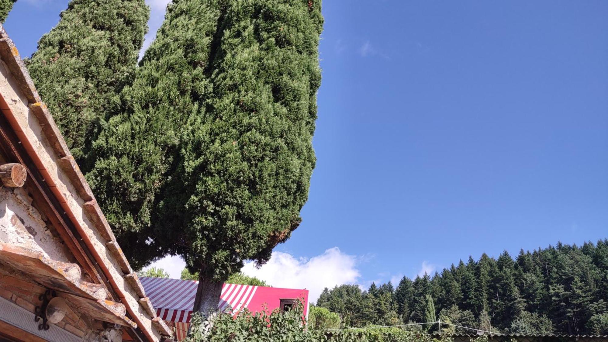 Fattoria Di Cintoia Villa Понтасиеве Екстериор снимка
