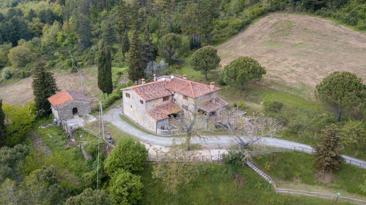 Fattoria Di Cintoia Villa Понтасиеве Екстериор снимка