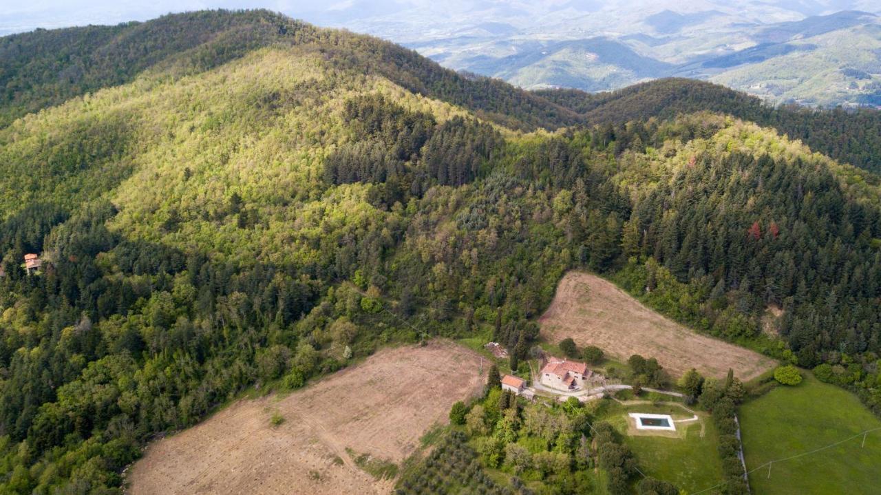Fattoria Di Cintoia Villa Понтасиеве Екстериор снимка