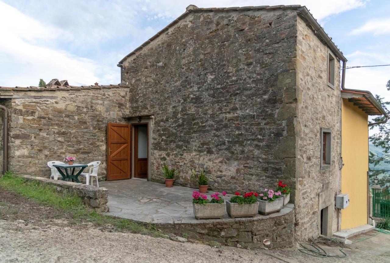 Fattoria Di Cintoia Villa Понтасиеве Екстериор снимка