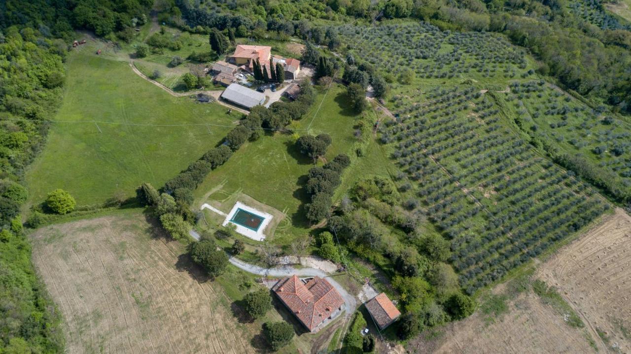 Fattoria Di Cintoia Villa Понтасиеве Екстериор снимка